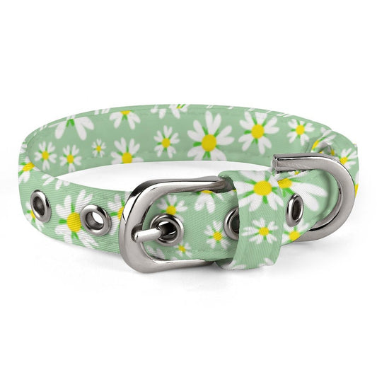 Custom Pet Collar – Design Your Own