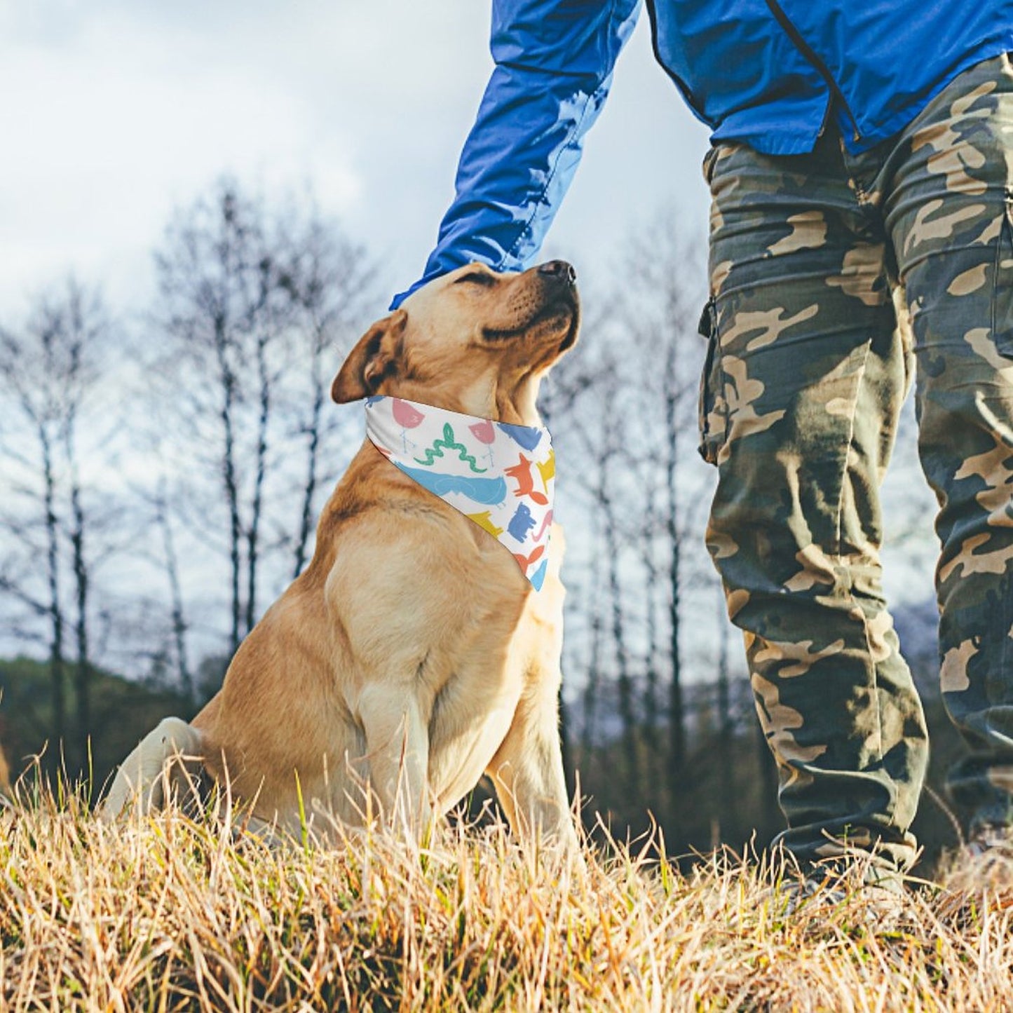 Custom Pet Scarves – Design Your Own