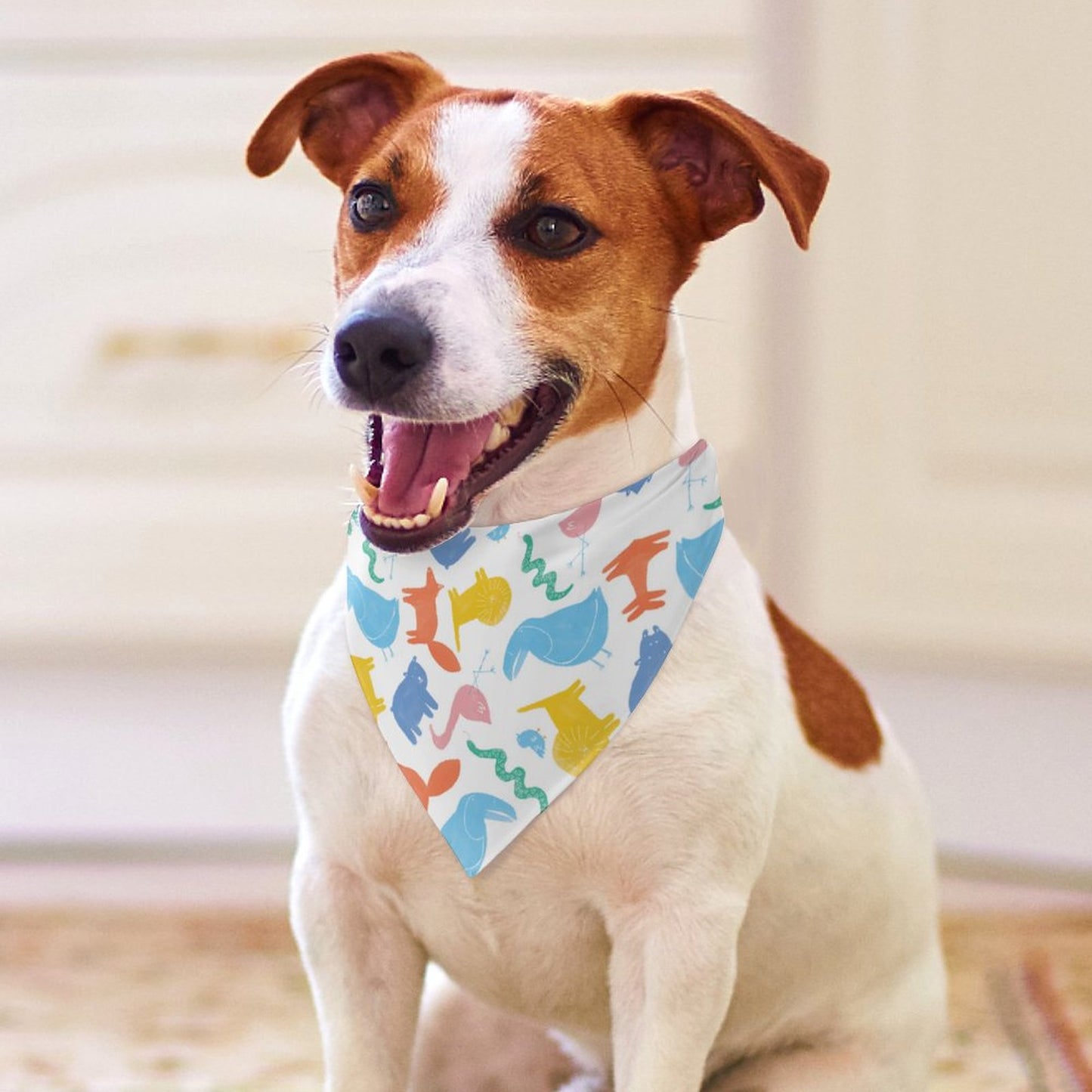 Custom Pet Scarves – Design Your Own